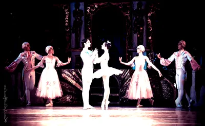Grand Kyiv Ballet