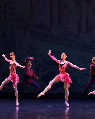 International Ballet Stars: Swan Lake theatre performance