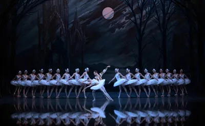 Swan Lake