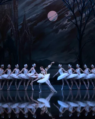 Swan Lake