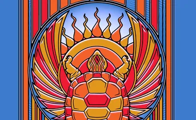 Terrapin Flyer